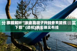 教程解析“皮皮跑胡子开挂免费软件下载”(透视)其实确实有挂