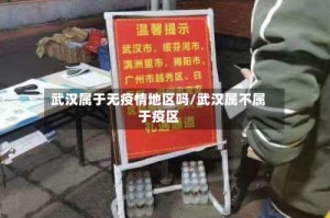 武汉属于无疫情地区吗/武汉属不属于疫区