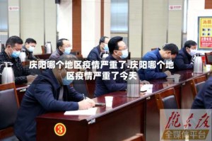 庆阳哪个地区疫情严重了.庆阳哪个地区疫情严重了今天