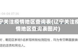 辽宁关注疫情地区查询表(辽宁关注疫情地区查询表图片)