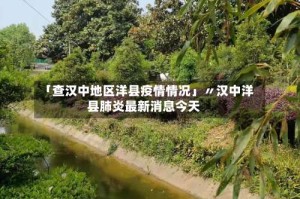 「查汉中地区洋县疫情情况」〃汉中洋县肺炎最新消息今天