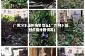 广州均禾最新疫情地区(广州均禾最新疫情地区情况)