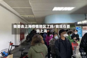 我要去上海疫情地区了吗/我现在要去上海