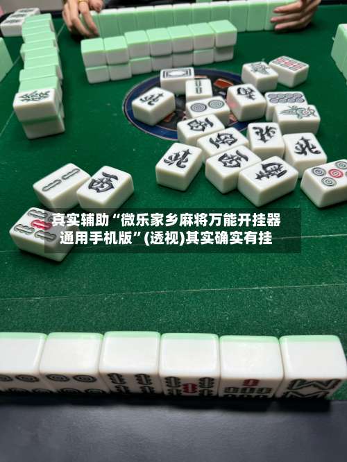 真实辅助“微乐家乡麻将万能开挂器通用手机版”(透视)其实确实有挂-第2张图片