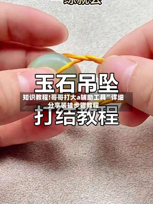 知识教程!哥哥打大a辅助工具”详细分享装挂步骤教程-第1张图片