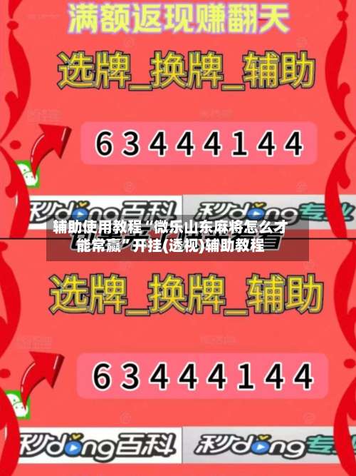 辅助使用教程“微乐山东麻将怎么才能常赢”开挂(透视)辅助教程-第3张图片