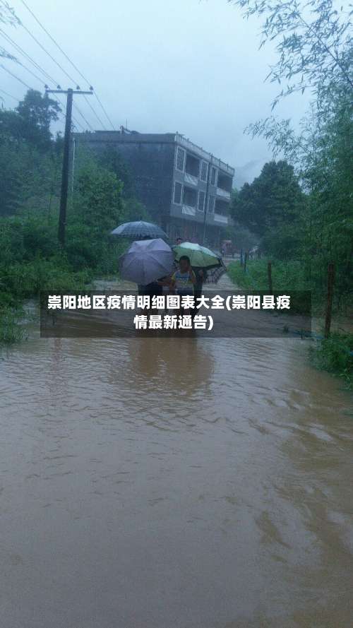 崇阳地区疫情明细图表大全(崇阳县疫情最新通告)-第2张图片