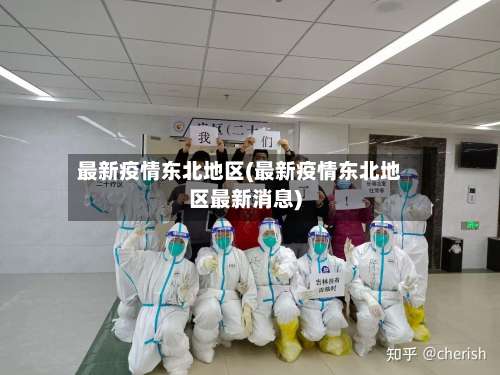 最新疫情东北地区(最新疫情东北地区最新消息)-第1张图片