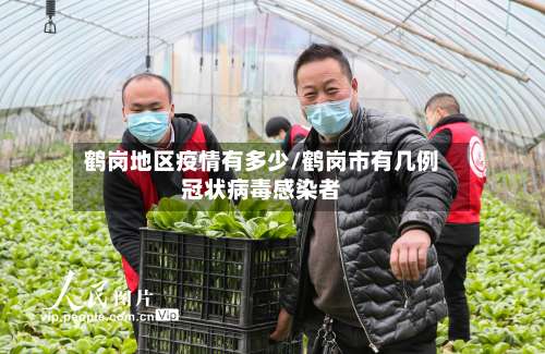 鹤岗地区疫情有多少/鹤岗市有几例冠状病毒感染者-第2张图片