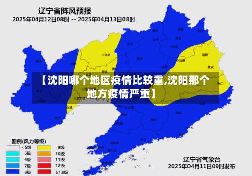 【沈阳哪个地区疫情比较重,沈阳那个地方疫情严重】-第2张图片