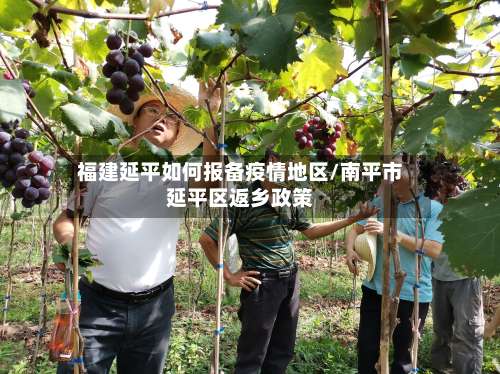 福建延平如何报备疫情地区/南平市延平区返乡政策-第1张图片