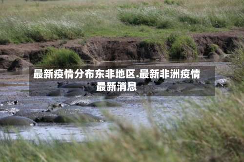 最新疫情分布东非地区.最新非洲疫情最新消息-第3张图片