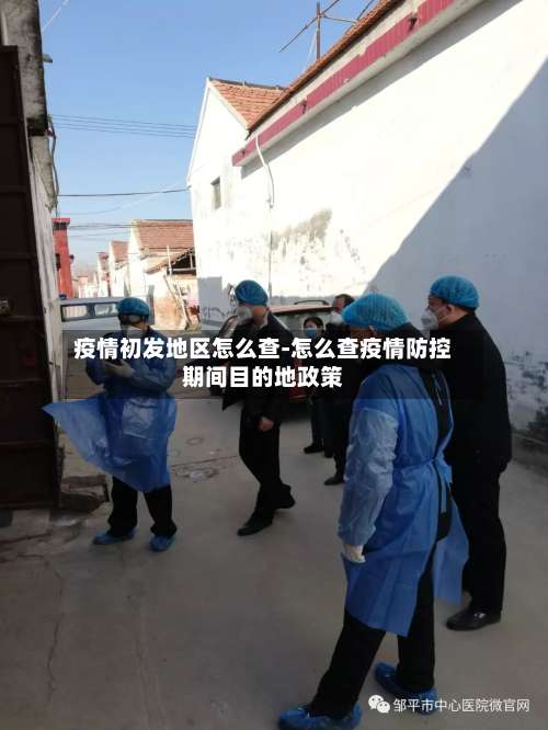 疫情初发地区怎么查-怎么查疫情防控期间目的地政策-第3张图片