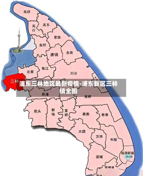 浦东三林地区最新疫情-浦东新区三林镇全图-第1张图片