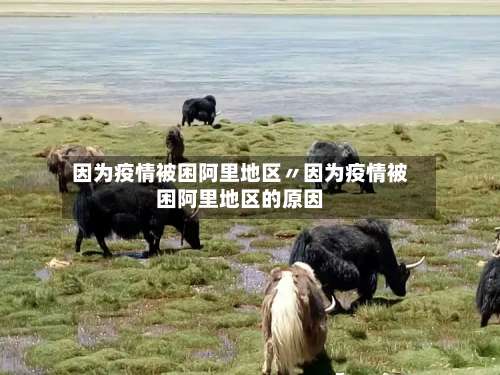 因为疫情被困阿里地区〃因为疫情被困阿里地区的原因-第1张图片