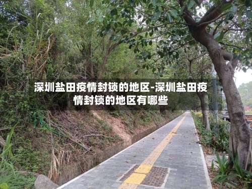 深圳盐田疫情封锁的地区-深圳盐田疫情封锁的地区有哪些-第2张图片