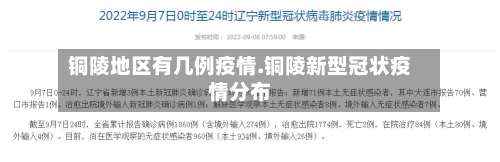 铜陵地区有几例疫情.铜陵新型冠状疫情分布-第2张图片