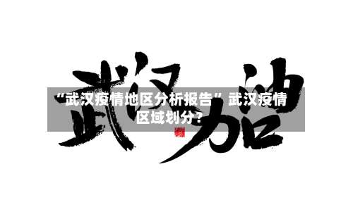 “武汉疫情地区分析报告” 武汉疫情区域划分？-第2张图片