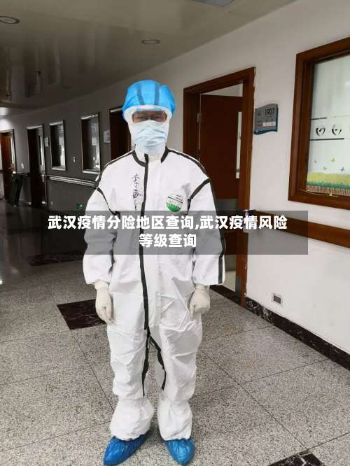 武汉疫情分险地区查询,武汉疫情风险等级查询-第1张图片