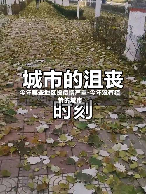 今年哪些地区没疫情严重-今年没有疫情的城市-第1张图片