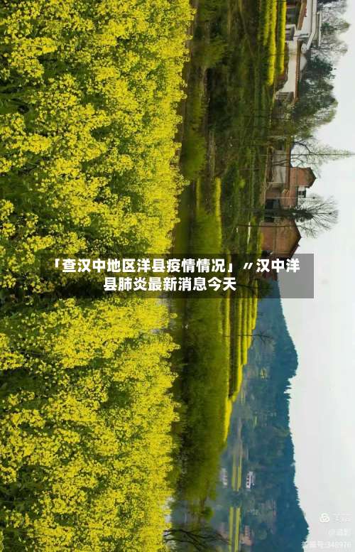 「查汉中地区洋县疫情情况」〃汉中洋县肺炎最新消息今天-第2张图片